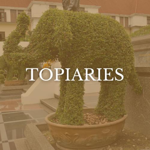 TOPIARIES.jpg
